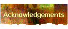 Acknowledgements