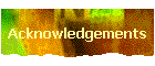 Acknowledgements