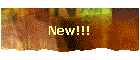 New!!!