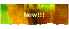 New!!!